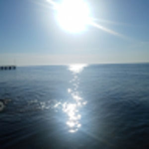 Meet your Posher, Darling